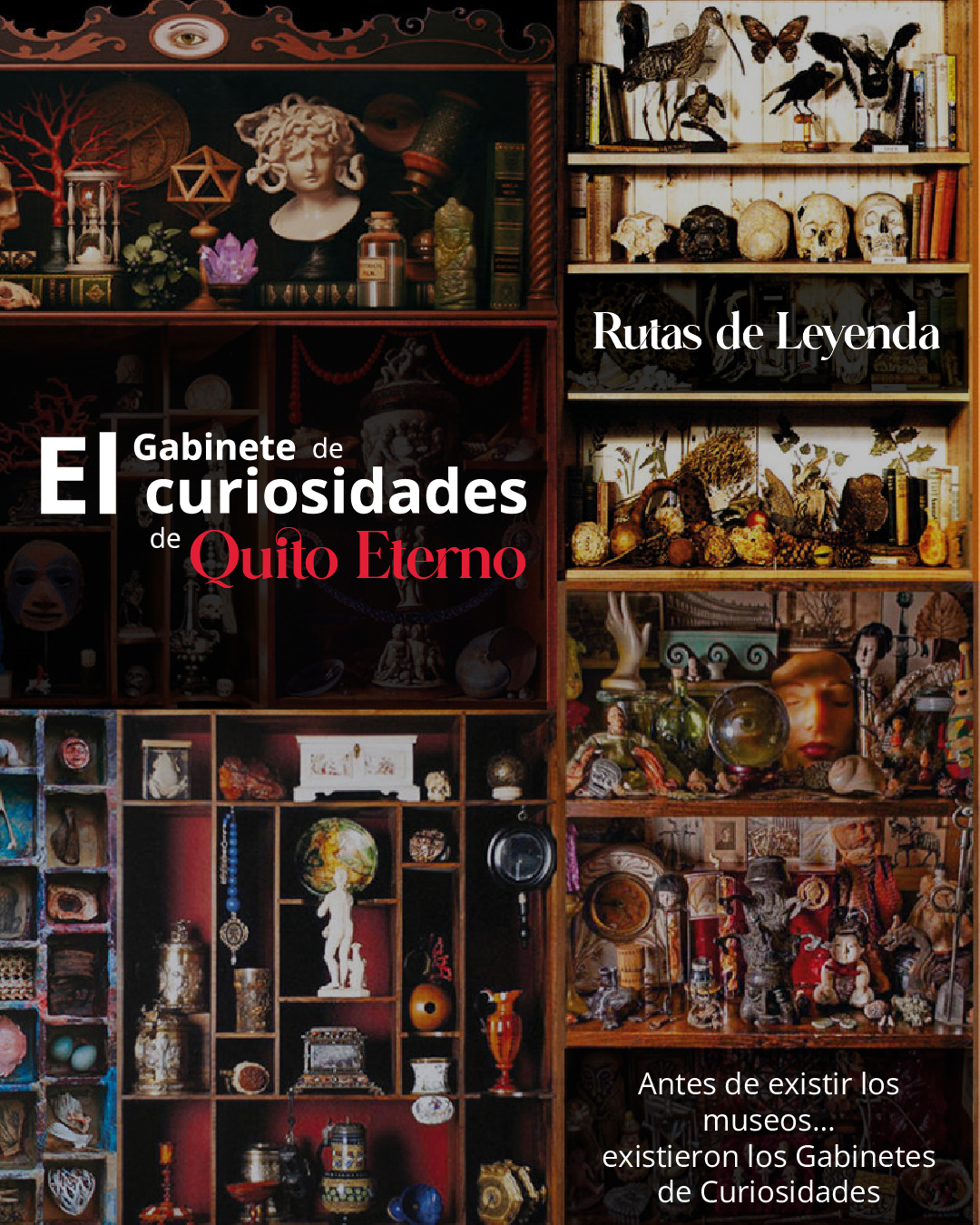 El Gabinete de Curiosidades de Quito Eterno